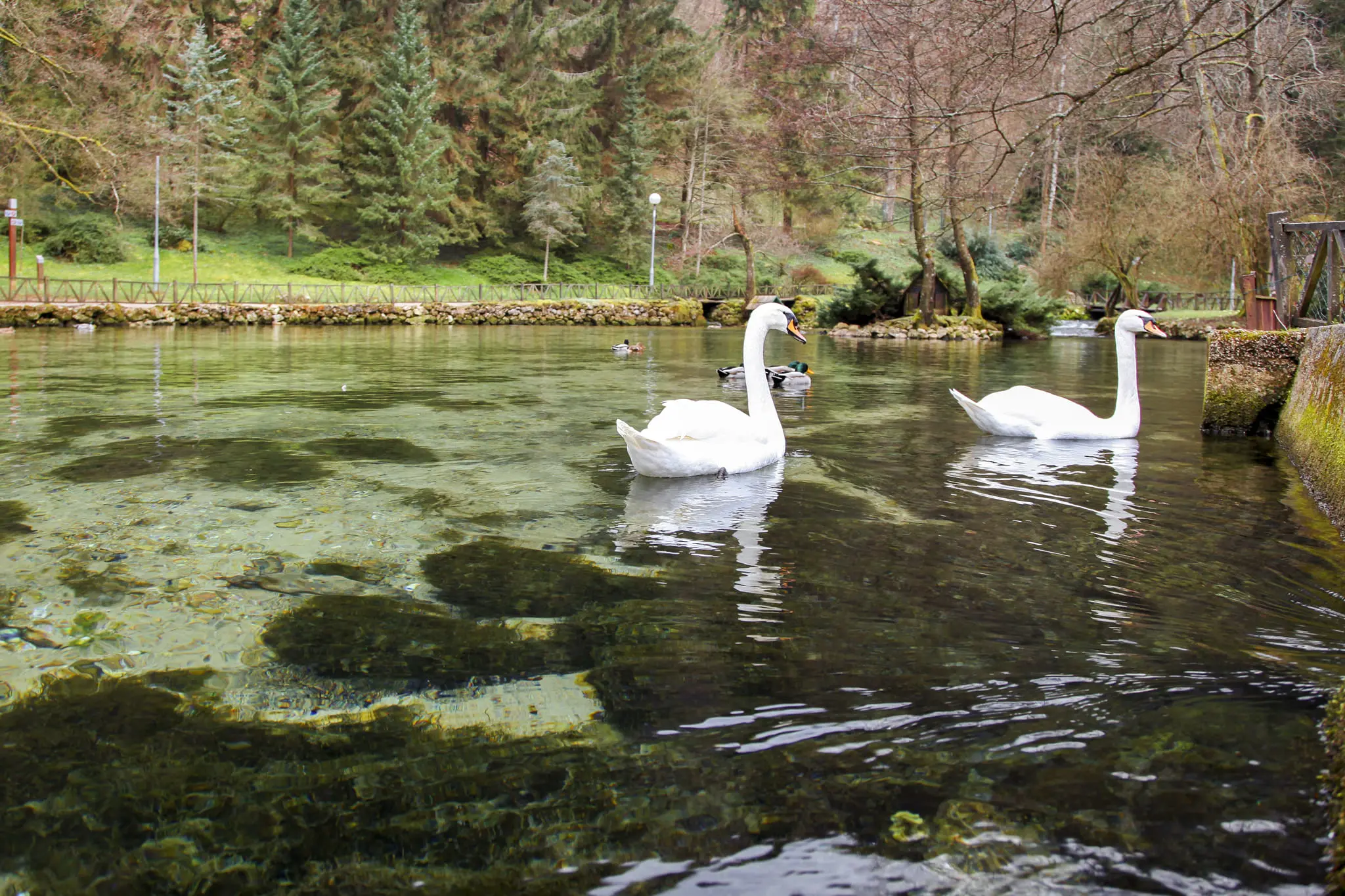 Vrelo Bosne Natural Monument